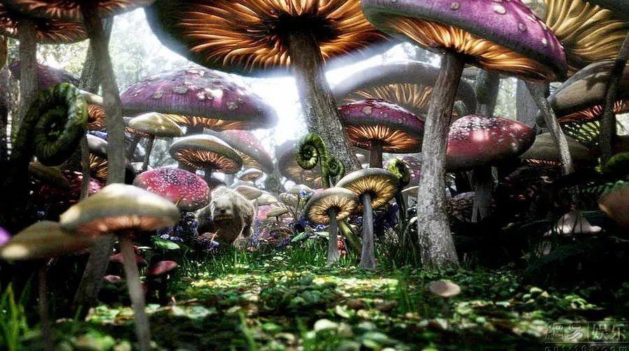 土地抵押贷款还不上为什么法院查封了却不执行?-解答你的疑虑